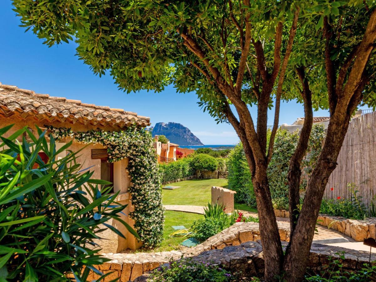 Holiday Home Erica 21 - Vista Village By Interhome Porto San Paolo  Zewnętrze zdjęcie